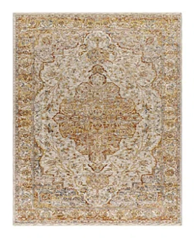 Surya Mona Lisa Mni-2308 Area Rug, 7'10 X 10'3 In Rust/cream