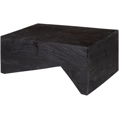 Surya Neemrana Nee-002 End Table In Black