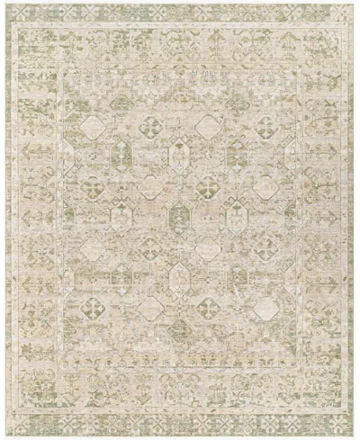 Surya Once Upon A Time Oat-2302 8'10" X 11'10" Area Rug In Brown