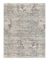 Surya Presidential Pdt-2303 Area Rug, 7'10 X 10'3 In Pale Blue/medium Gray