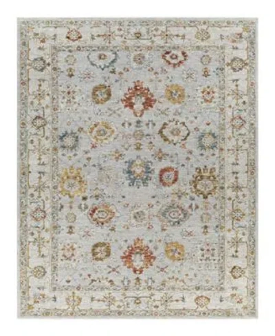 Surya Reina Ren 2307 Area Rugs In Silver-tone