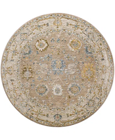 Surya Reina Ren-2308 6'7" X 6'7" Round Area Rug In Multi