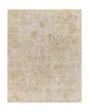 Surya Reina Ren-2310 Area Rug, 5' X 7'5 In Silver Tan