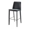 Surya Rosy Bar Stool In Black