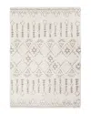 Surya Serengeti Shag Rug