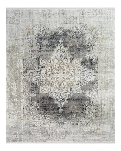 Surya Solar Sor-2305 Area Rug, 3' X 5' In Gray