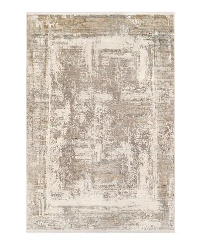 Surya Solar Sor-2317 Area Rug, 9'8 X 13'1 In Neutral