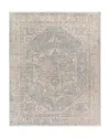 Surya Subtle Sub-2306 Area Rug, 7'10 X 10' In Mist Ivory