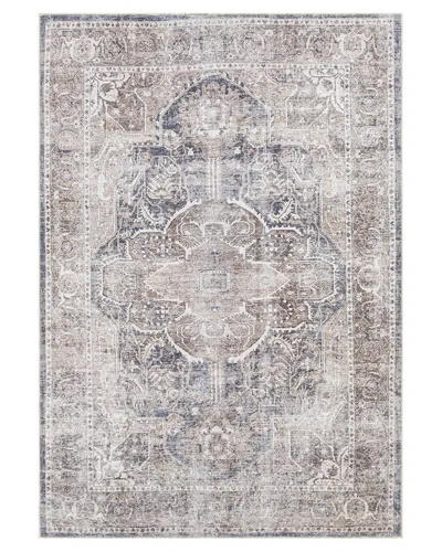 Surya Tahmis Traditional Machine-washable Rug In Brown
