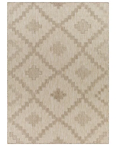 Surya Tuareg Indoor/outdoor Rug In Tan