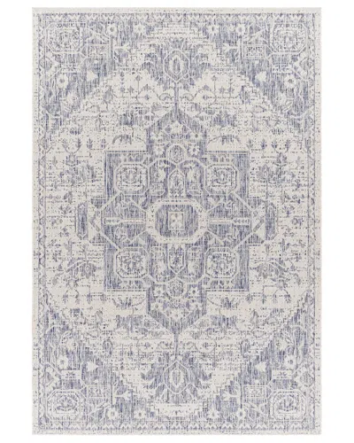 Surya Tuareg Traditional Indoor/outdoor Rug In Blue