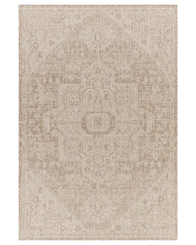 Surya Tuareg Traditional Indoor/outdoor Rug In Tan