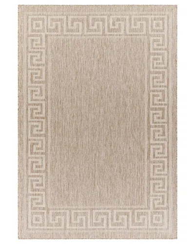 Surya Tuareg Traditional Indoor/outdoor Rug In Tan