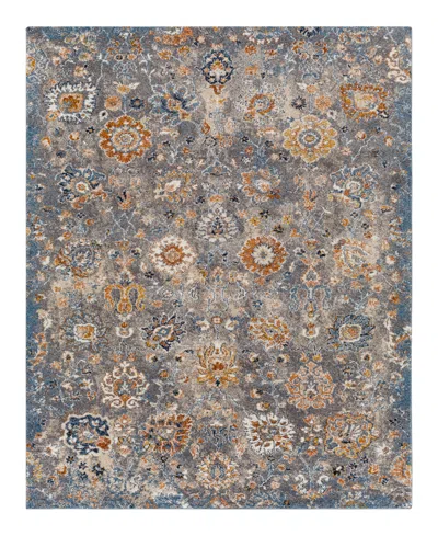 Surya Tuscany Tus-2331 2'x3' Area Rug In Gray