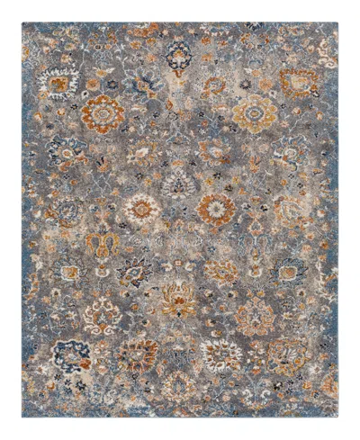 Surya Tuscany Tus-2331 6'7x9'6 Area Rug In Gray