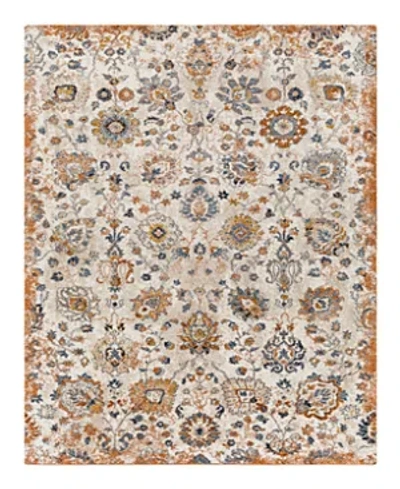 Surya Tuscany Tus-2331 Area Rug, 4'3 X 5'7 In Brown