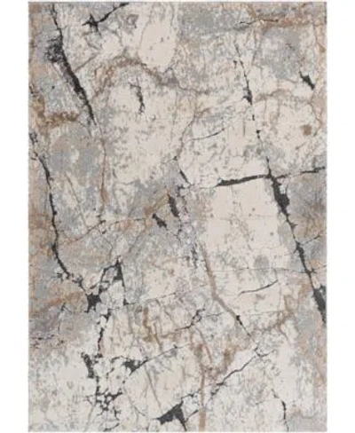 Surya Tuscany Tus2314 Area Rug In Gray