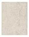 Surya Wilson Wsn-2301 Area Rug, 5' X 7'6 In Gray