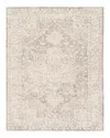 Surya Wilson Wsn-2302 Area Rug, 5' X 7'6 In Brown