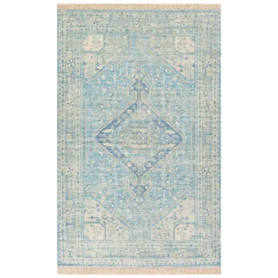 Surya Zainab Zai-2304 6'x9' Sky Blue And Sage Area Rug