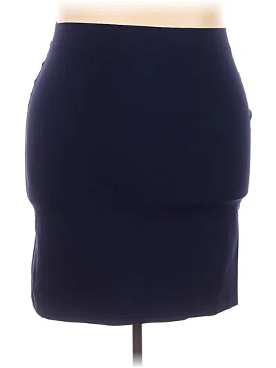 Pre-owned Susan Graver Casual Skirt In Blue