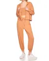 Susana Monaco Front Zip Crop Hoodie In Brown