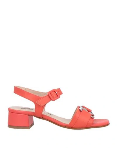 Susimoda Woman Sandals Tomato Red Size 7 Leather