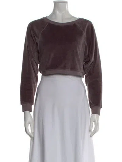 Pre-owned Suzie Kondi Crew Neck Long Sleeve Crop Top In Purple