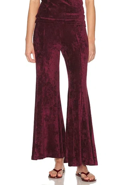 Suzie Kondi Flora Flare Pant In Burgundy