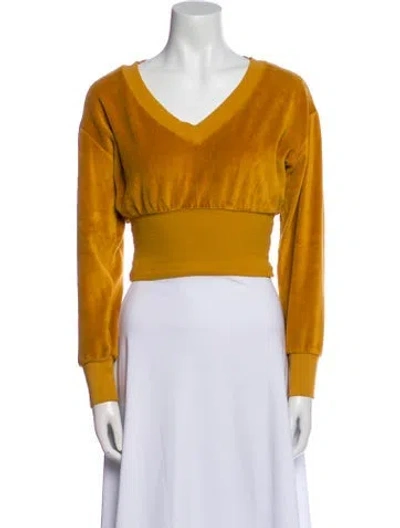 Pre-owned Suzie Kondi V-neck Long Sleeve Crop Top In Brown