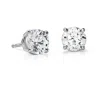 Suzy Levian 14k Yellow Gold 0.20 Ct. Tw. Diamond Stud Earrings In White