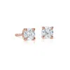 Suzy Levian 14k Yellow Gold 0.25 Ct. Tw. Diamond Stud Earrings In Pink