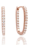 Suzy Levian Cubic Zirconia Hoop Earrings In Gold