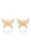 Suzy Levian Diamonds 14k Gold Diamond Butterfly Stud Earrings In Yellow