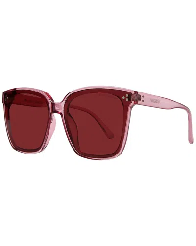 Suzy Levian Women's 61mm Sunglasses In Transparent