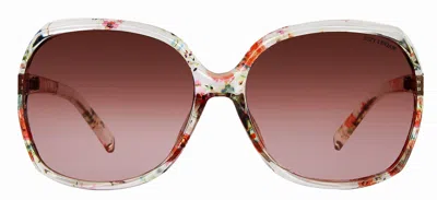Suzy Levian Women's Clear Floral Oversize Sunglasses In Multi