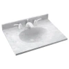 Swan Ellipse Solid Surface 19" Single Bathroom Vanity Top In Ice