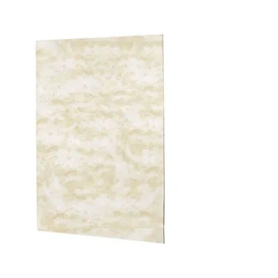 Swan Solid Surface One Panel Shower Wall In Ice