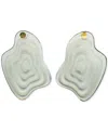 Swanky Designs Catira Geometric Earrings In Transparent