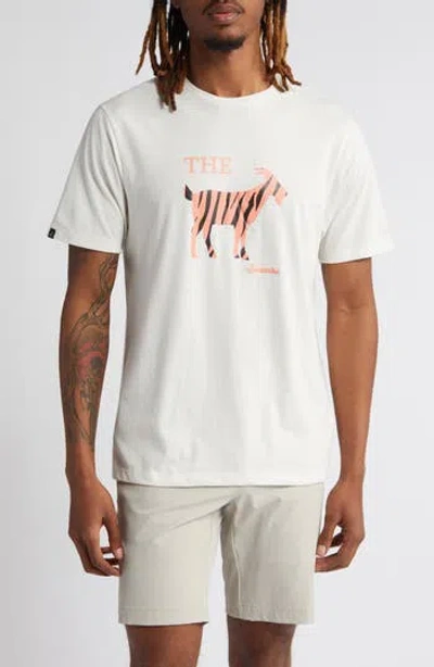 Swannies Tiger Goat Graphic Tee In White