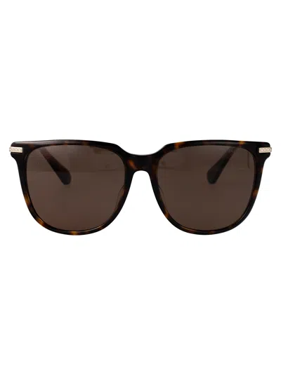 Swarovski 施华洛世奇平方太阳镜0 Sk6015 D 100273 In 100273 Dark Havana