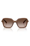 Swarovski 50mm Small Irregular Sunglasses In Brown