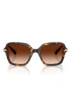 Swarovski 50mm Small Irregular Sunglasses In Havana/gradient Brown