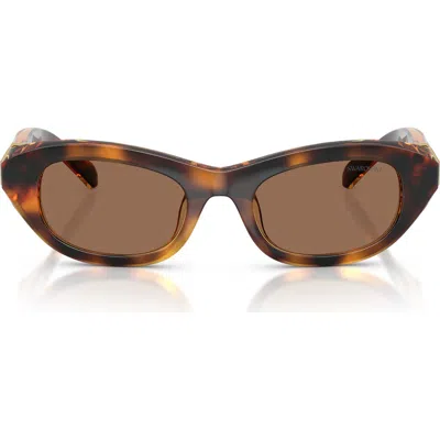 Swarovski 50mm Small Pillow Sunglasses In Brown