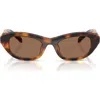 Swarovski 50mm Small Pillow Sunglasses In Brown