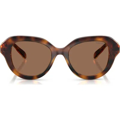 Swarovski 50mm Small Round Sunglasses In Brown