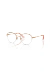 Swarovski 51mm Phantos Optical Glasses In Brown