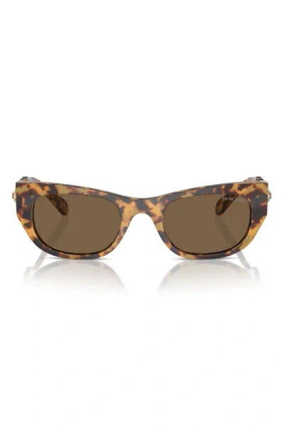 Swarovski 51mm Pillow Sunglasses In Havana Transparent