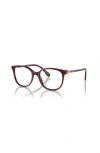Swarovski 51mm Square Optical Glasses In Burgundy