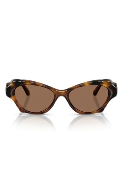 Swarovski 52mm Cat Eye Sunglasses In Brown